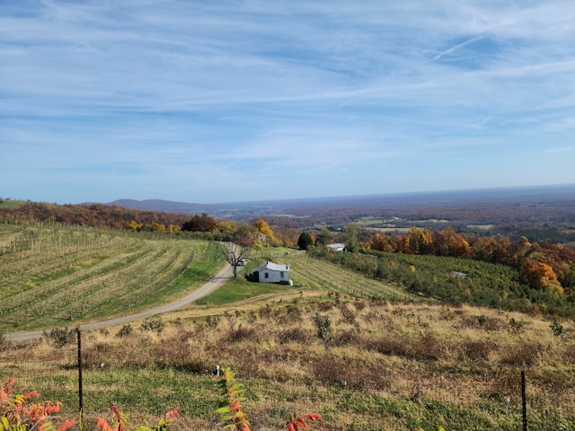 Short-Term Rental Regulation in Charlottesville, VA