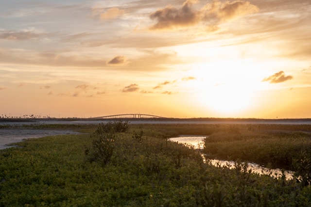 Short-Term Rental Regulation in Corpus Christi, TX