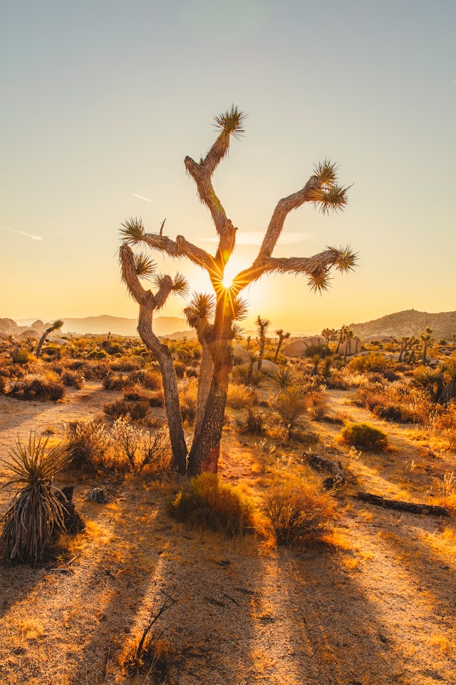 Is Cost Segregation Worth It for STRs Below $400K? A Case Study on a California Property