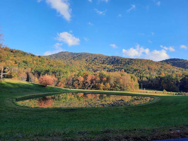 Blue Ridge, GA  Rental Regulations FAQ 2025